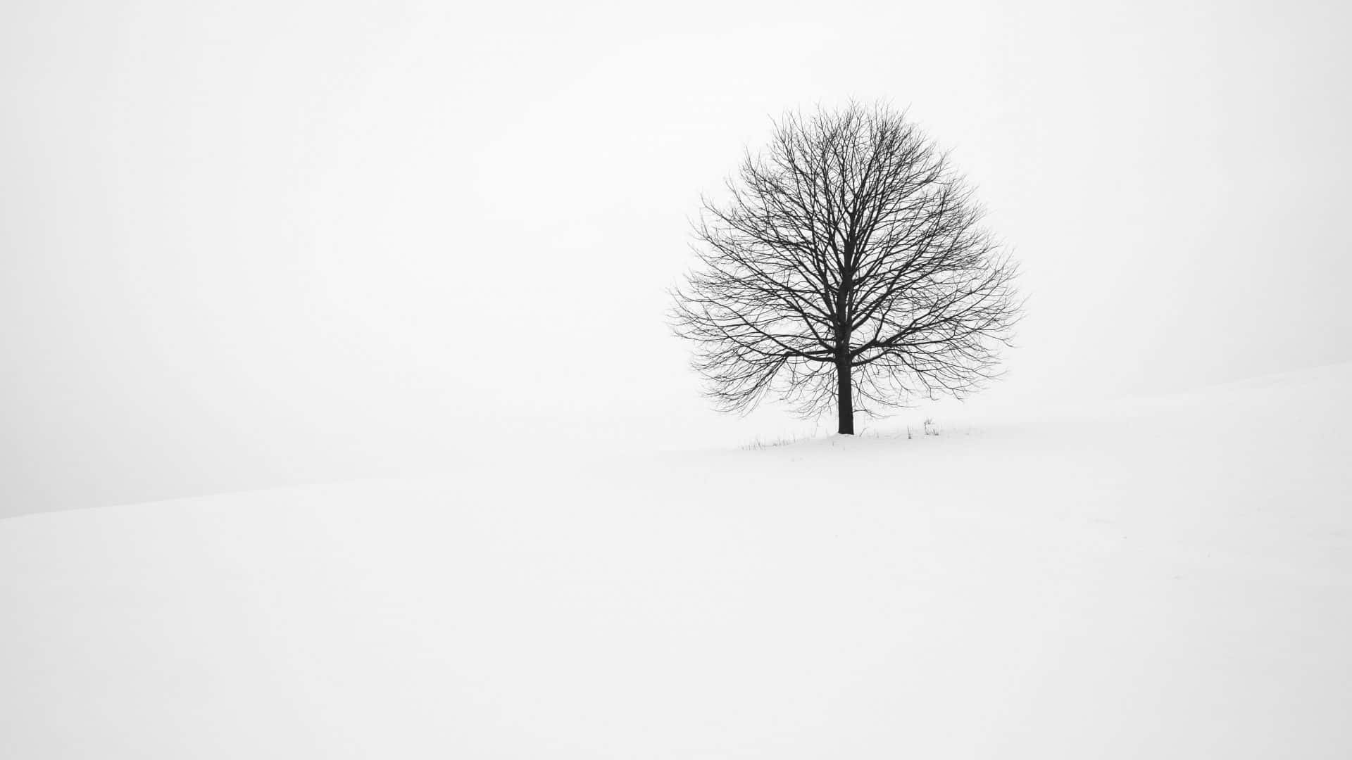 Enjoy The Subtle Beauty Of A Minimalist Winter Background