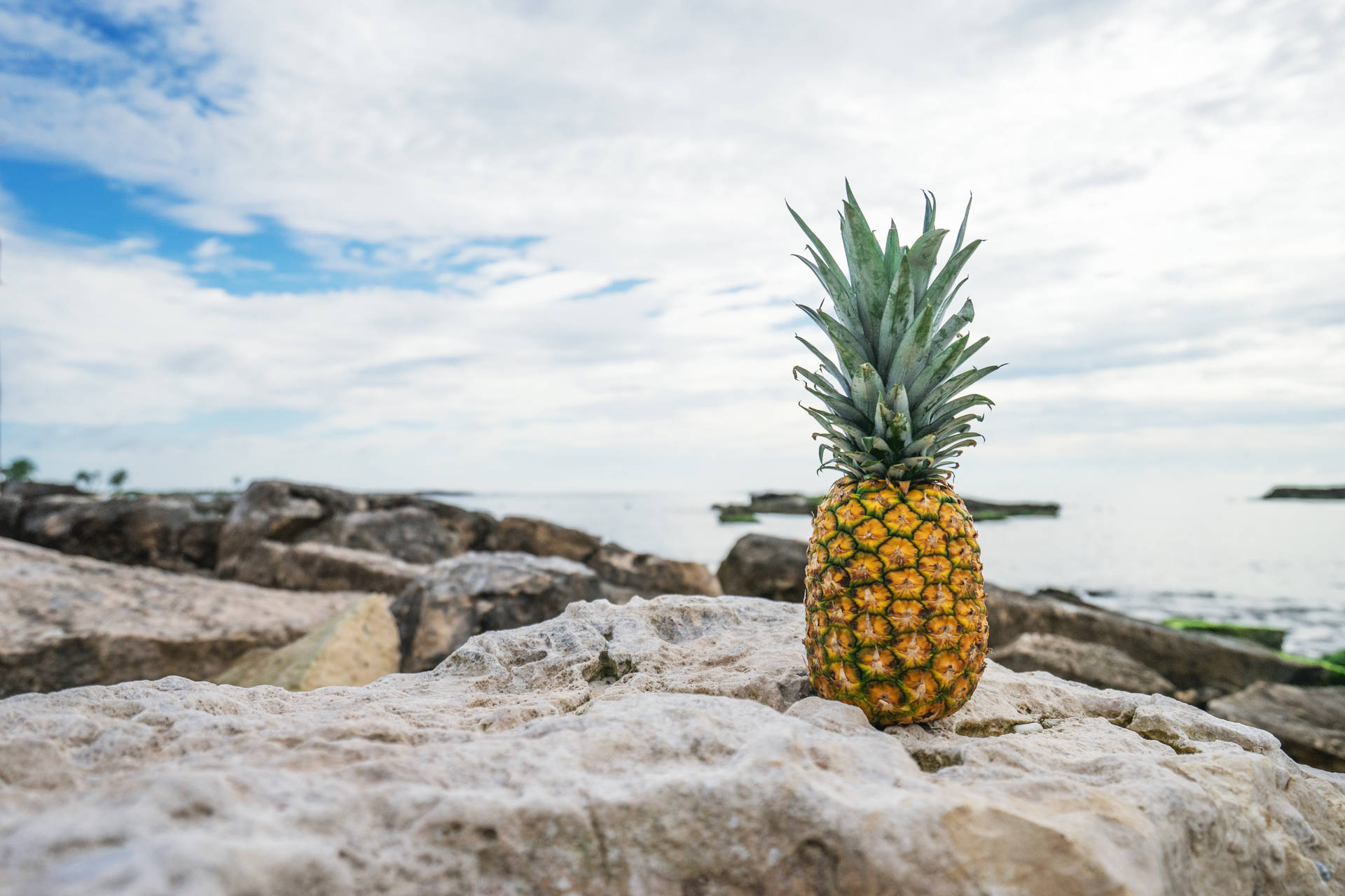 Enjoy The Sugary Sweetness Of Pineapple Right On The Beach. Background