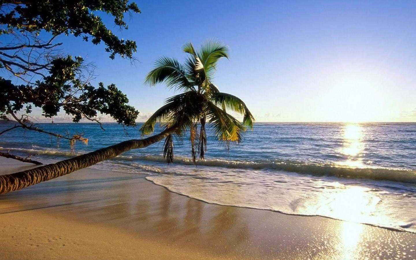 Enjoy The Summer Weather! Background
