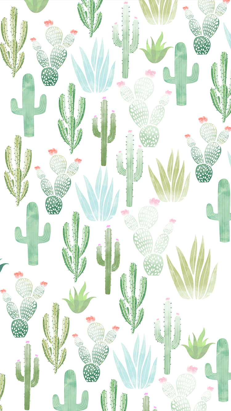 Enjoy The Summer With A Cute Summer Phone Background