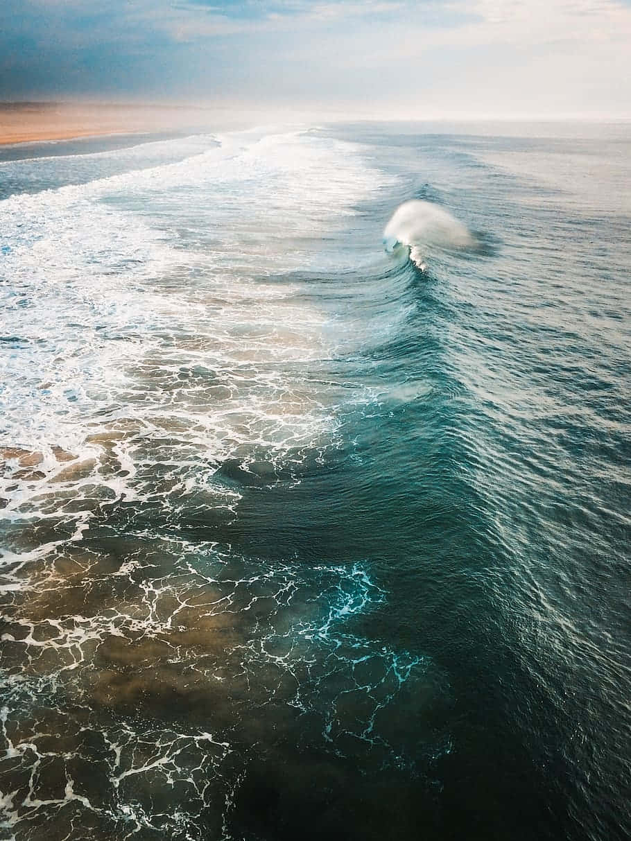 Enjoy The Sun And Sea While Surfing On An Iphone Background