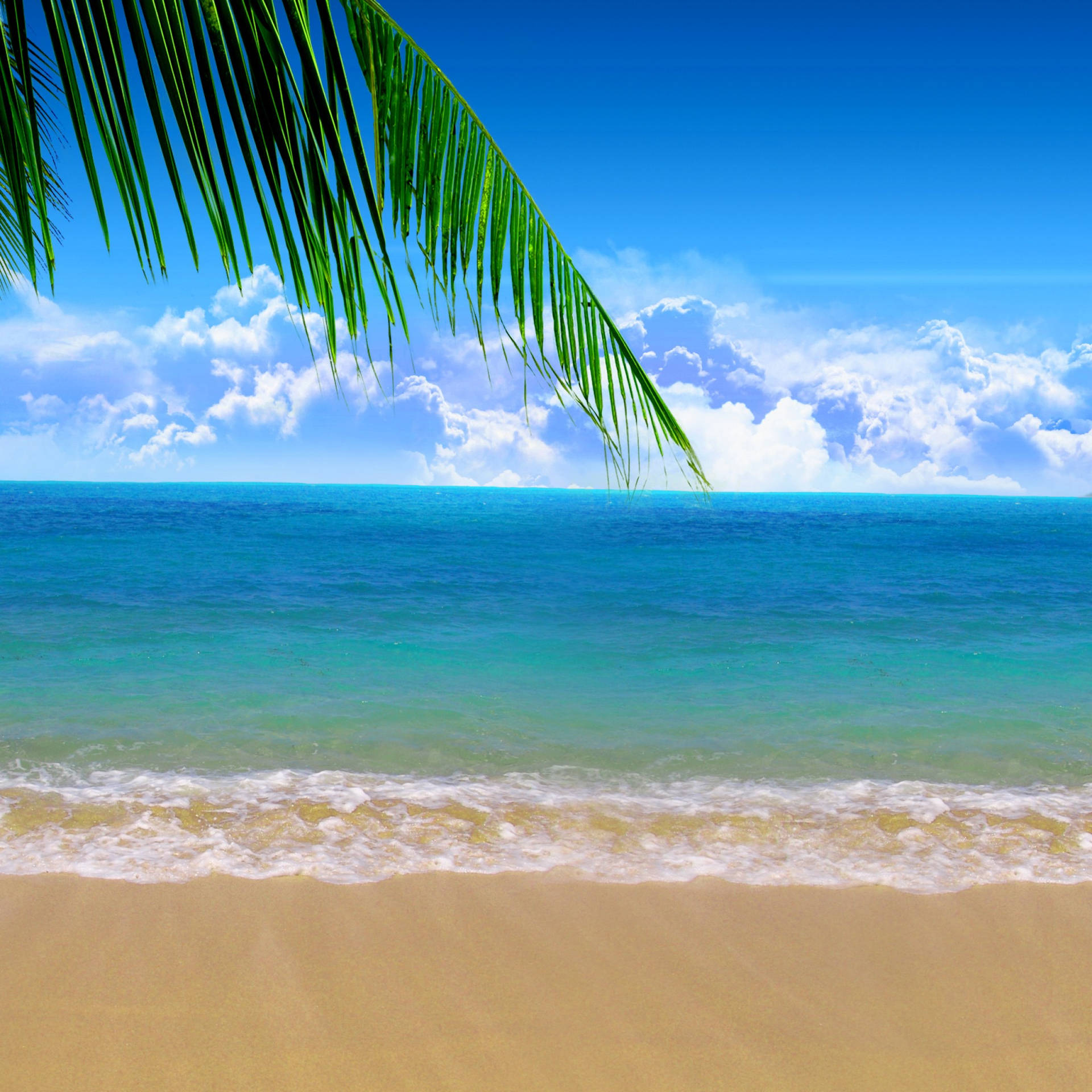 Enjoy The Sunny Summer With An Ipad Background