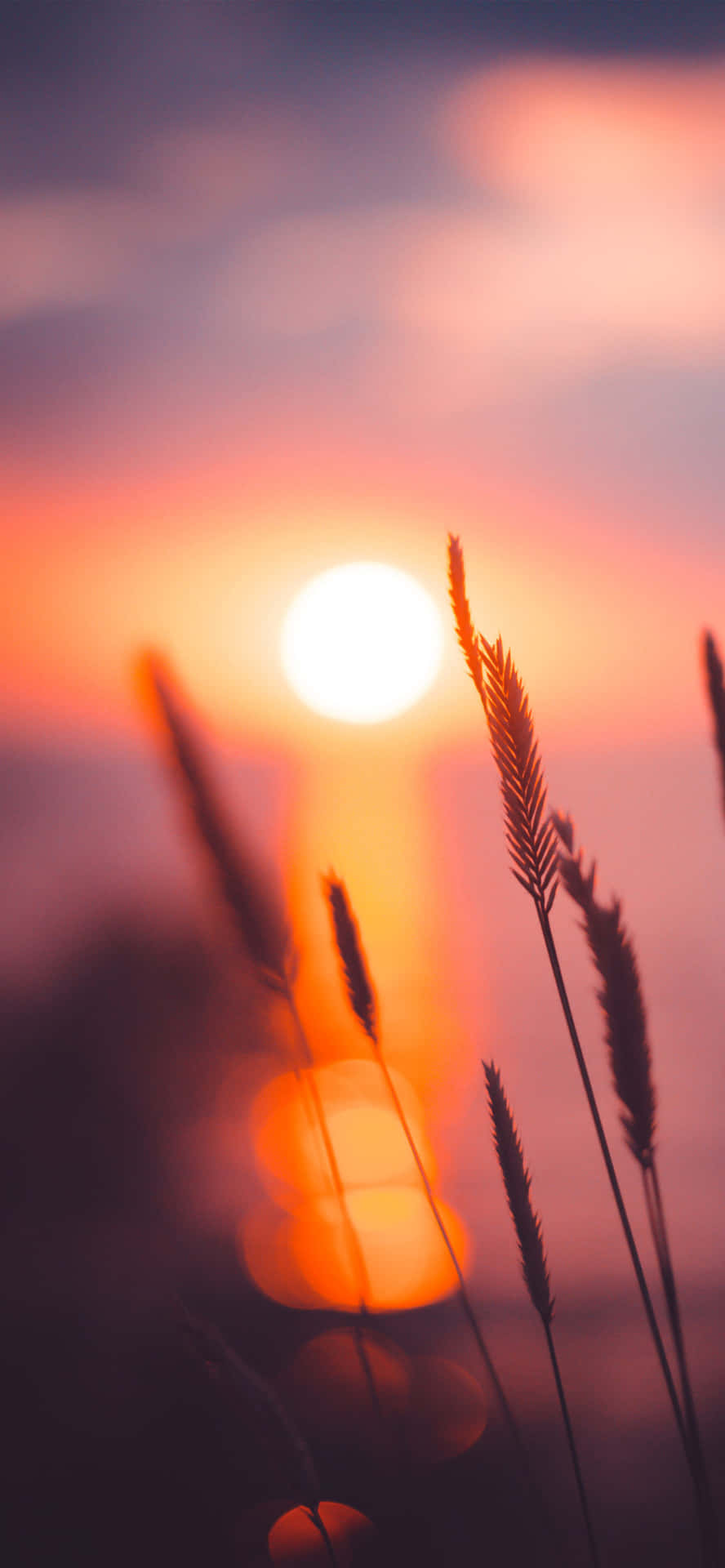 Enjoy The Sunrise From Wherever You Go With The Latest Iphone Background