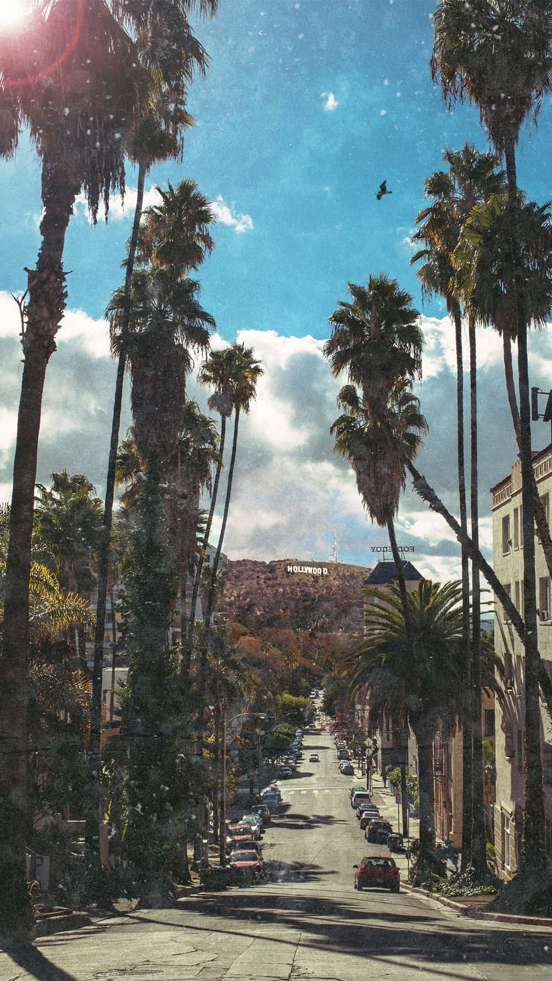 Enjoy The Sunshine With A California Iphone Background