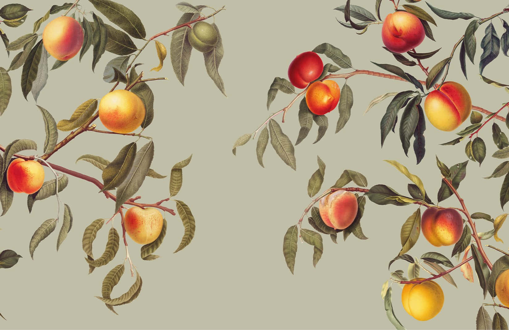 Enjoy The Sweet And Summer Vibe With A Glass Of Vintage Peach Background