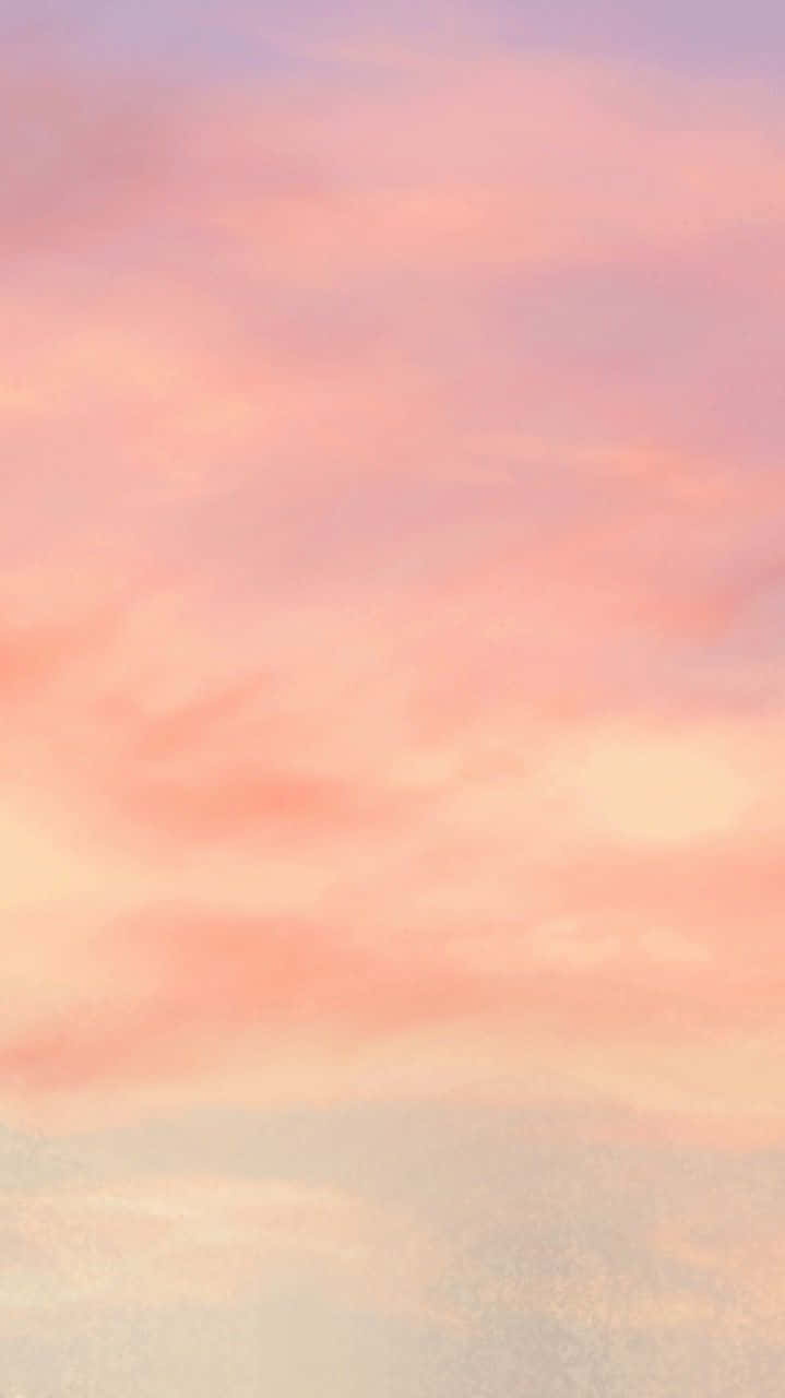 Enjoy The Sweet Summer Vibes With A Peach Iphone Background