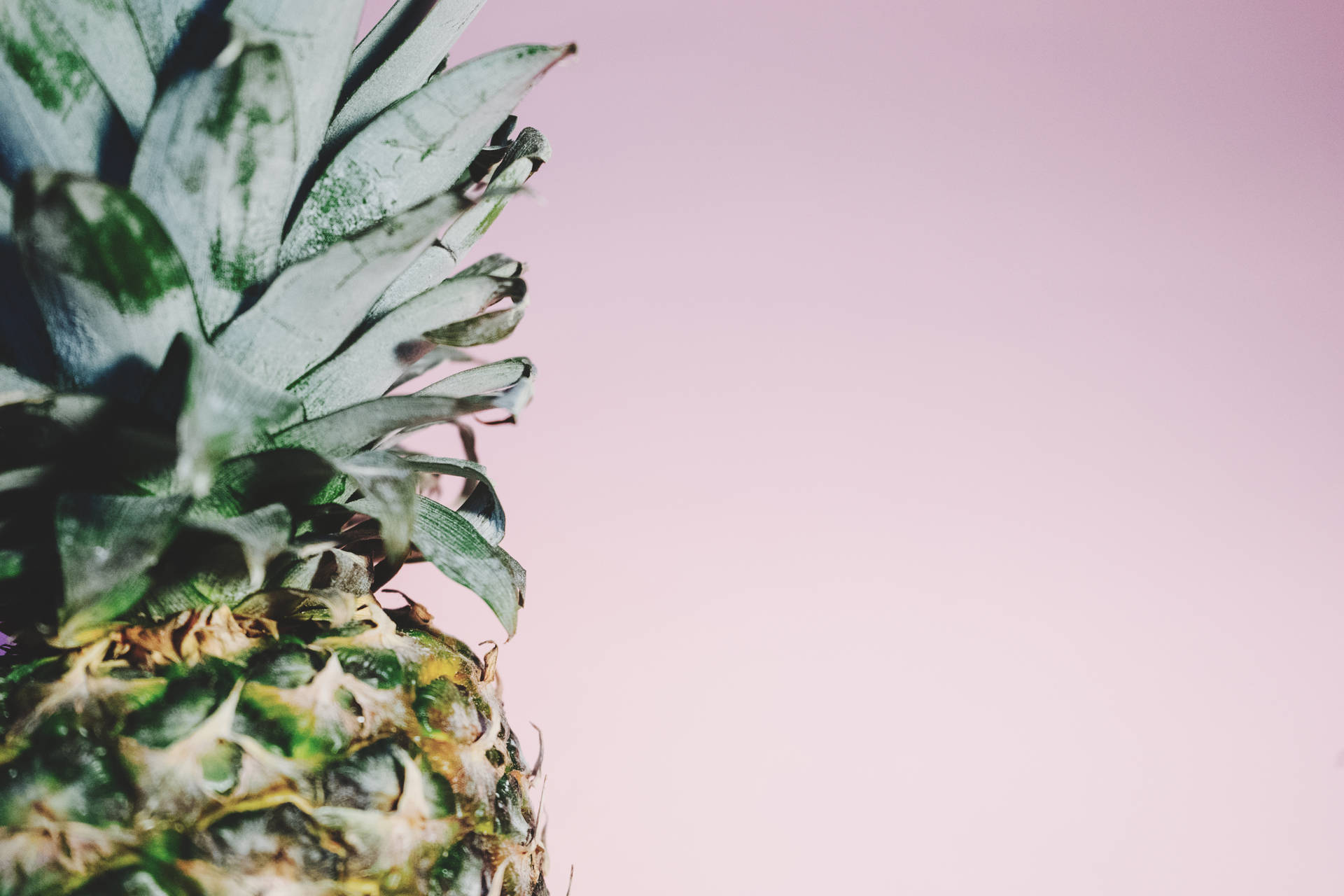 Enjoy The Sweet Taste Of Summer With This Minimalist Pineapple Crown Background