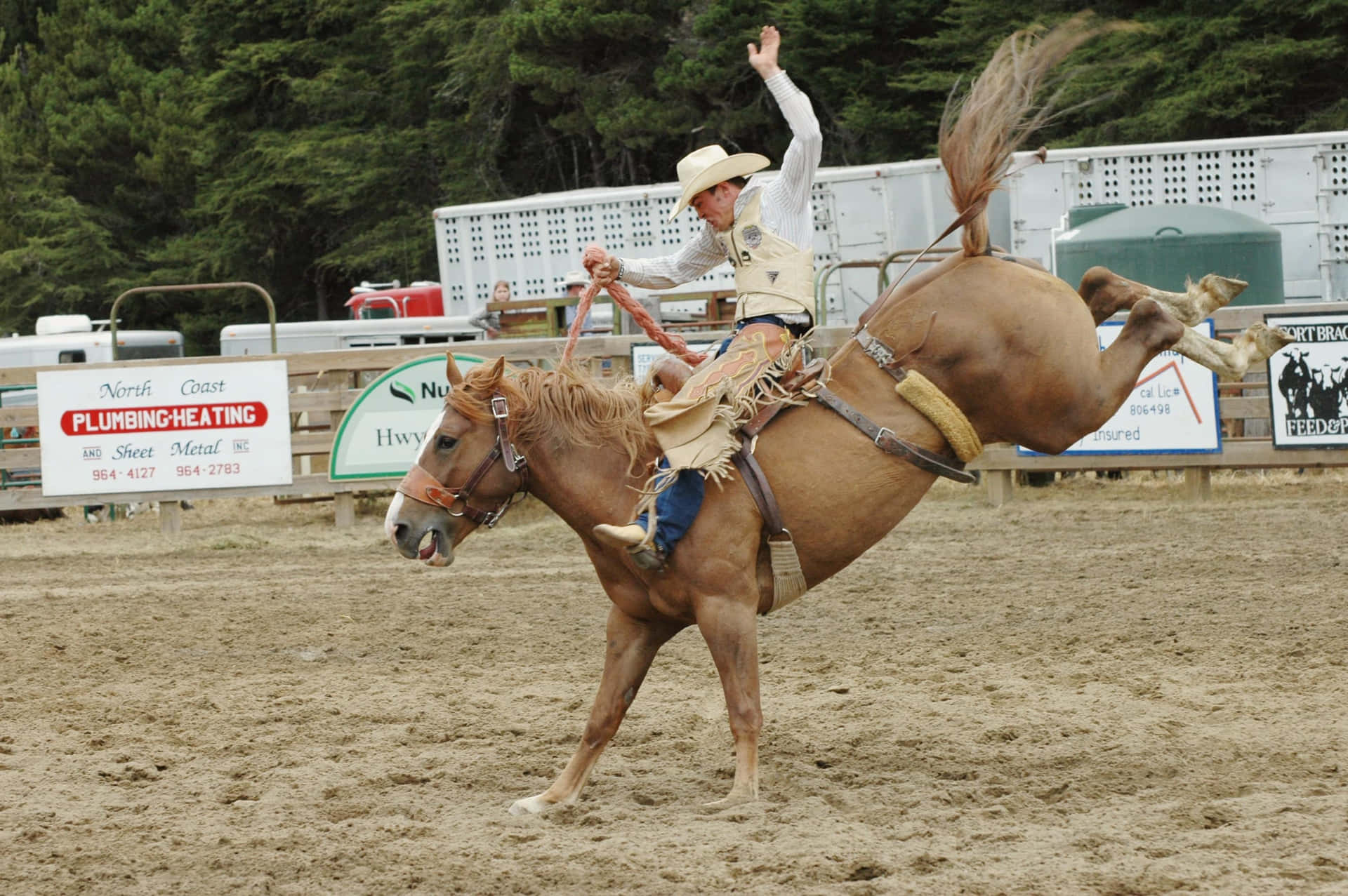 Enjoy The Thrill Of The Wild West At A Rodeo Background