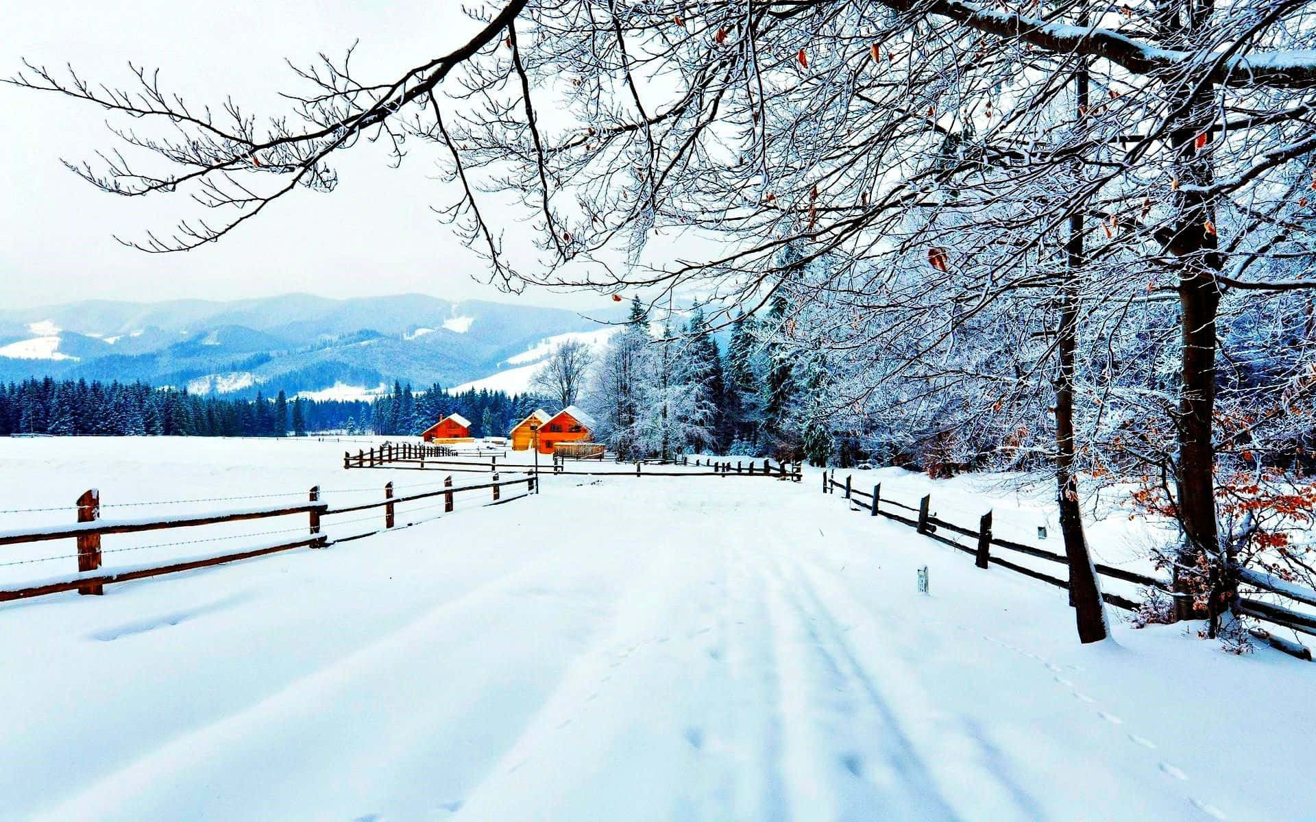 Enjoy The Tranquil Beauty Of A Wintery Landscape