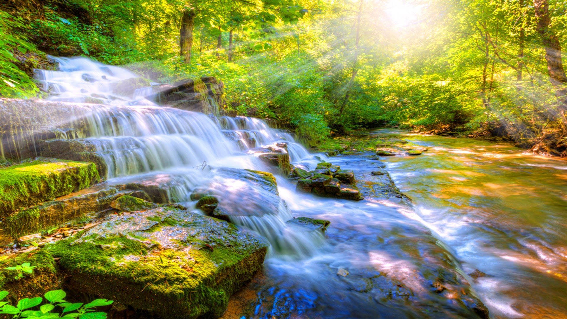 Enjoy The Tranquil Beauty Of Nature In This Relaxing Desktop Background Background