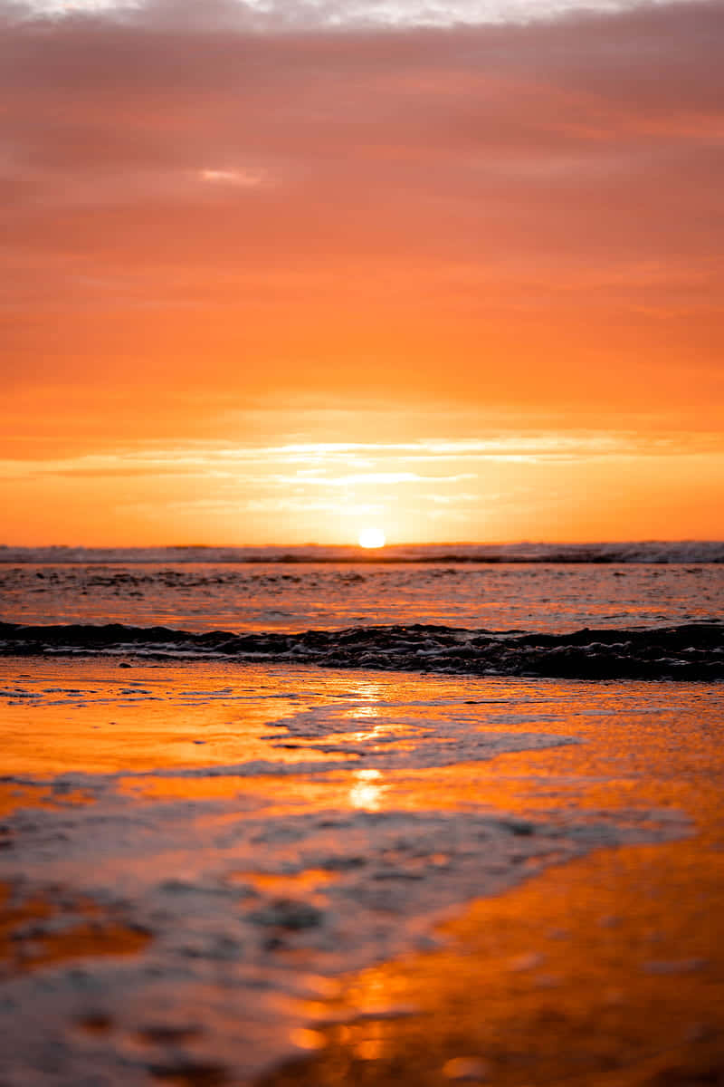 Enjoy The Tranquil Horizon Of Ocean Beach, Ca. Background