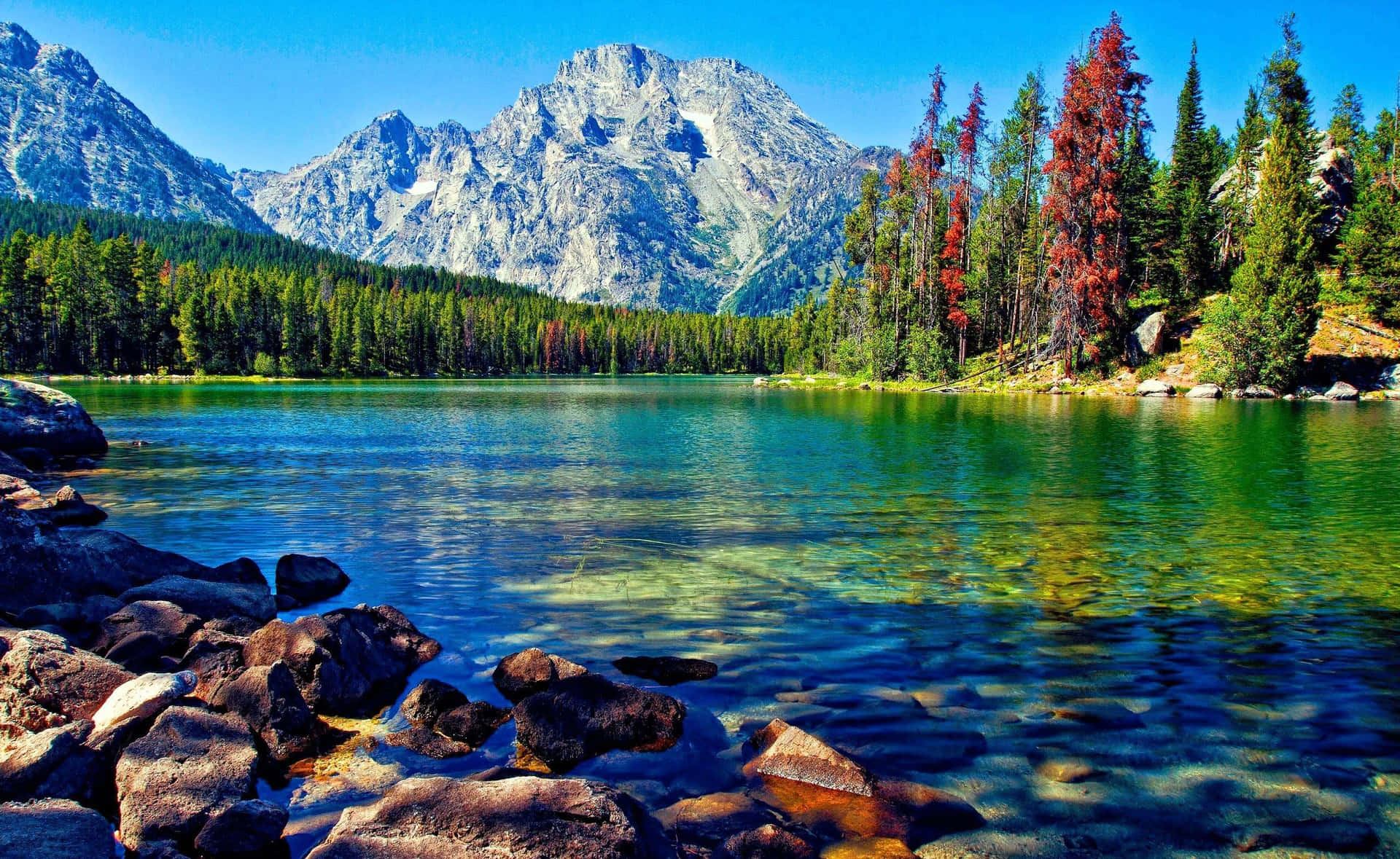 Enjoy The Tranquility Of Nature At Beautiful Lake