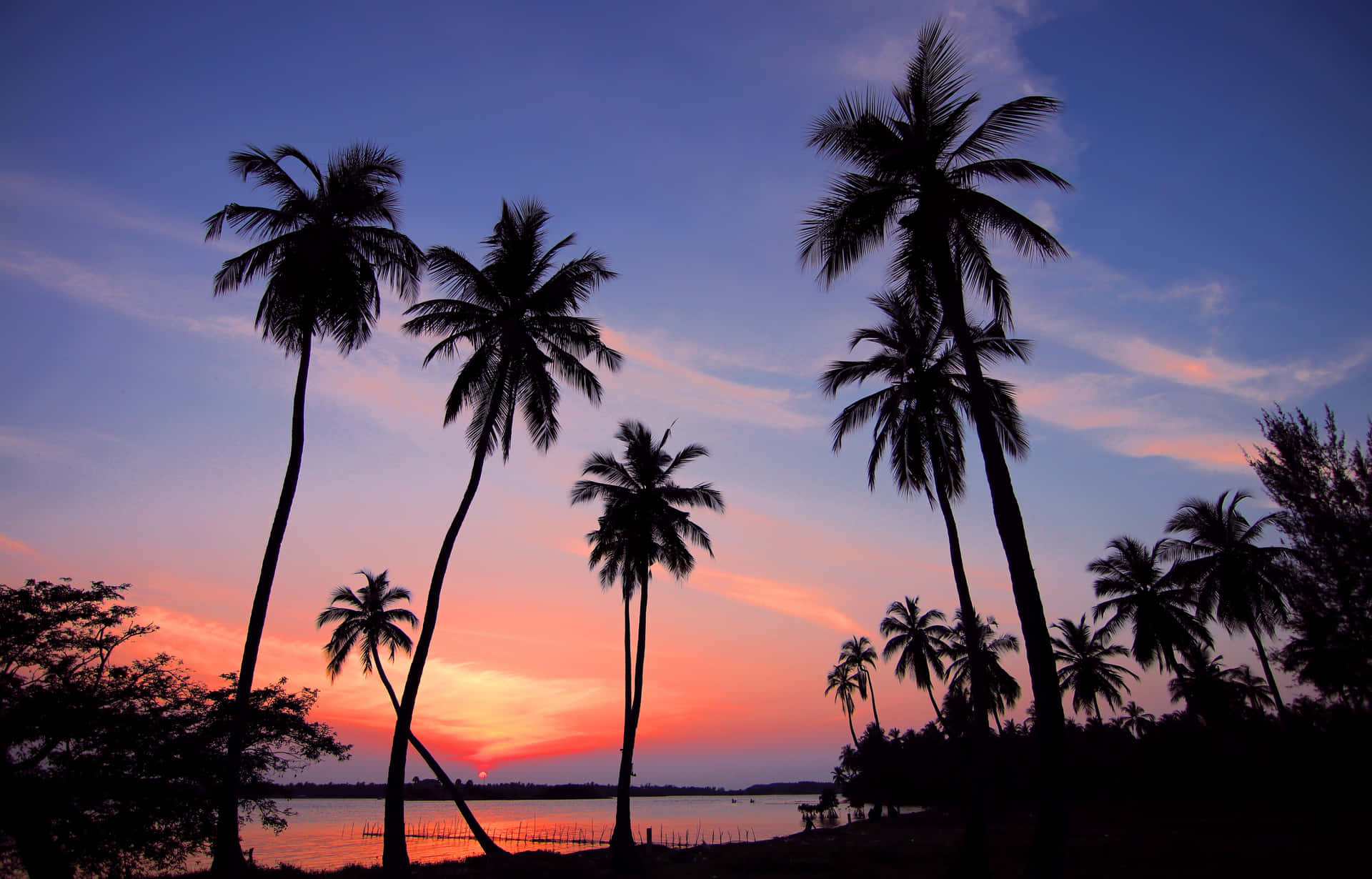 Enjoy The Tropical Sunset With Someone You Love Background