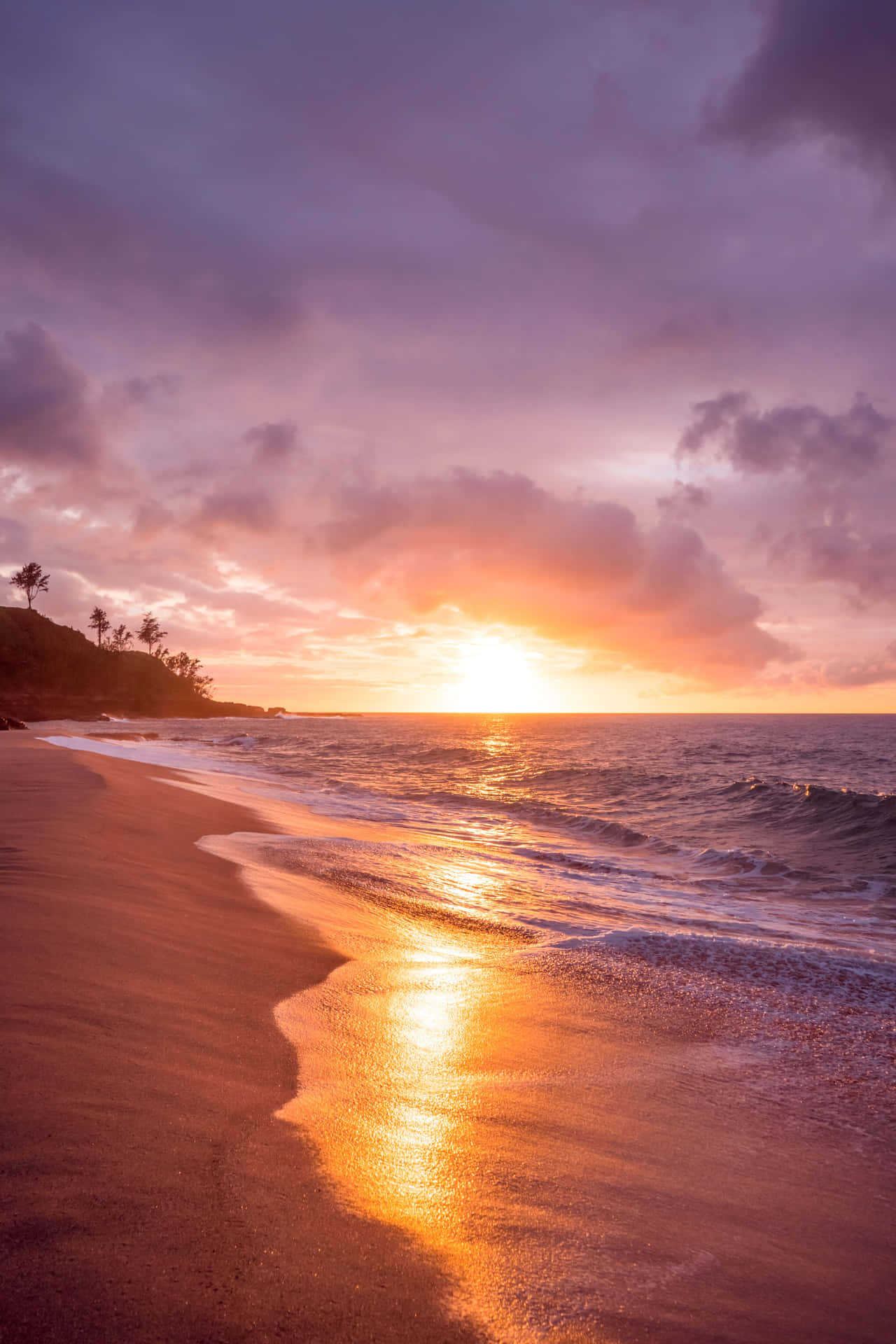 Enjoy The Turquoise Waters Of Pretty Beach Background