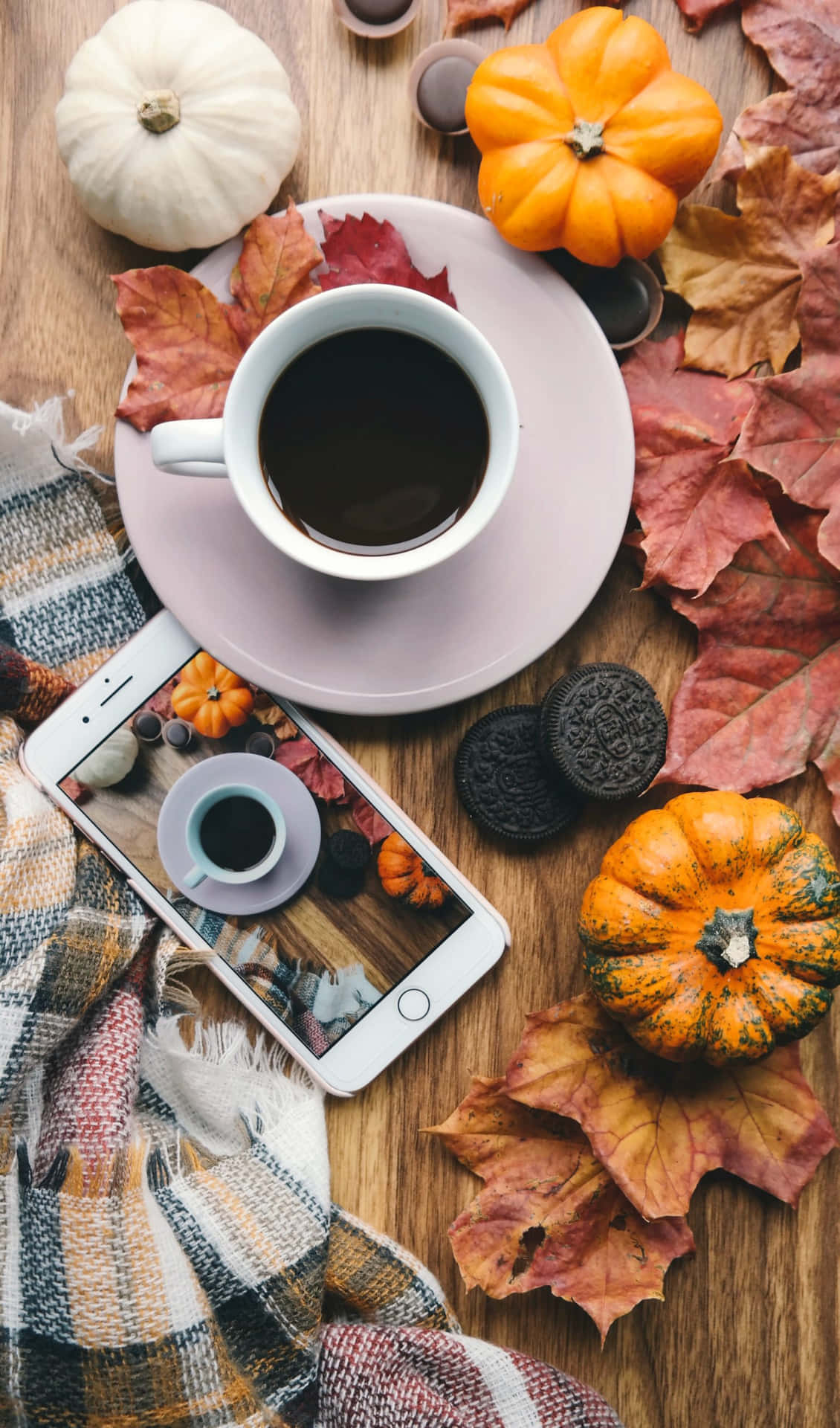 Enjoy The Vibrant Colors Of Fall With This Cute Iphone Wallpaper!