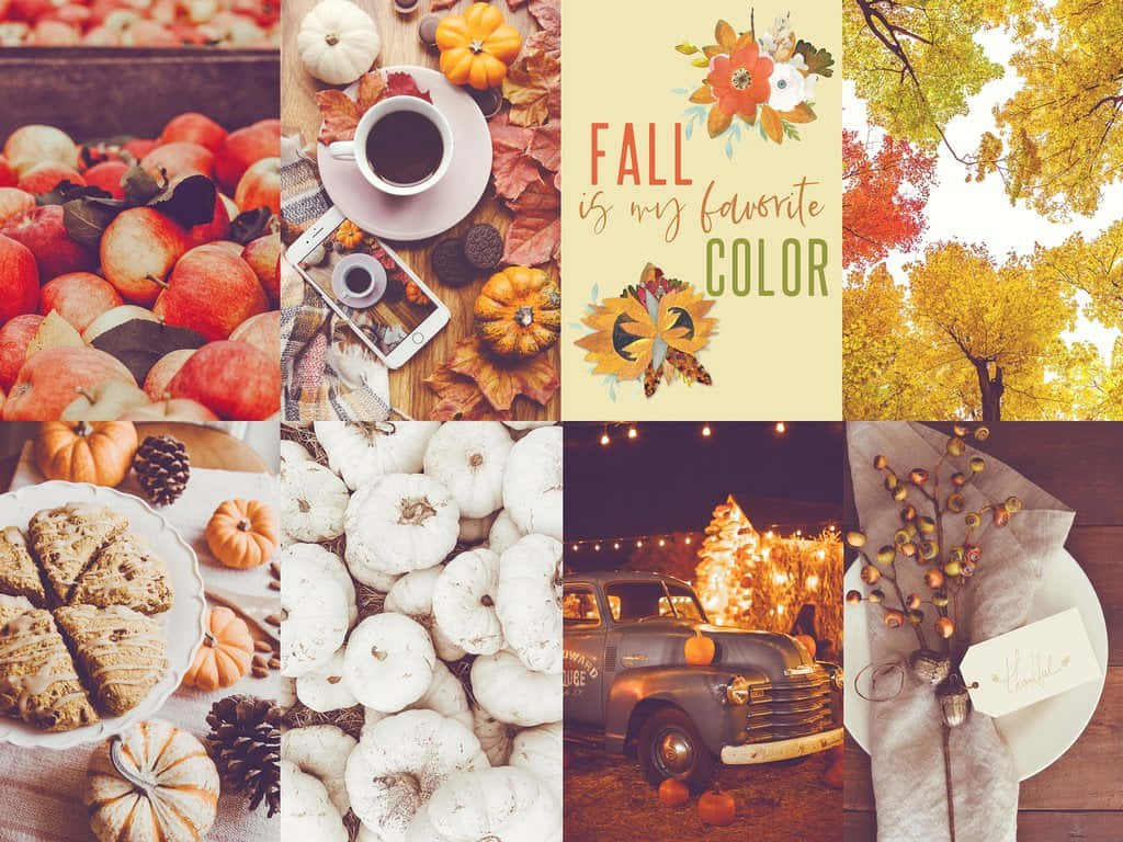 Enjoy The Vibrant Colors Of Fall Background