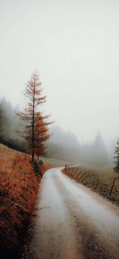 Enjoy The Vintage Trends Of Fall