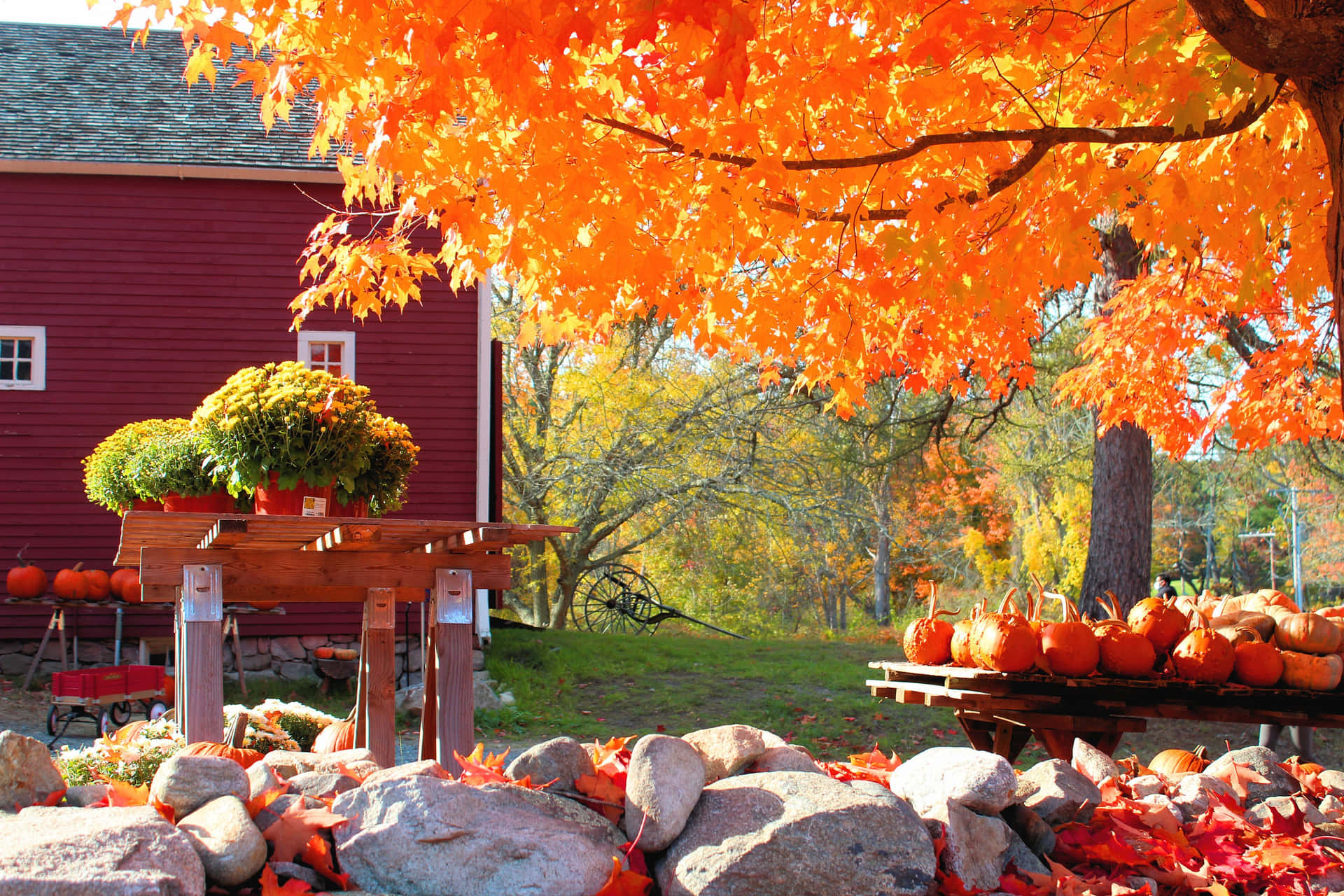 Enjoy The Vivid Colors Of An Autumn Day In New England. Background