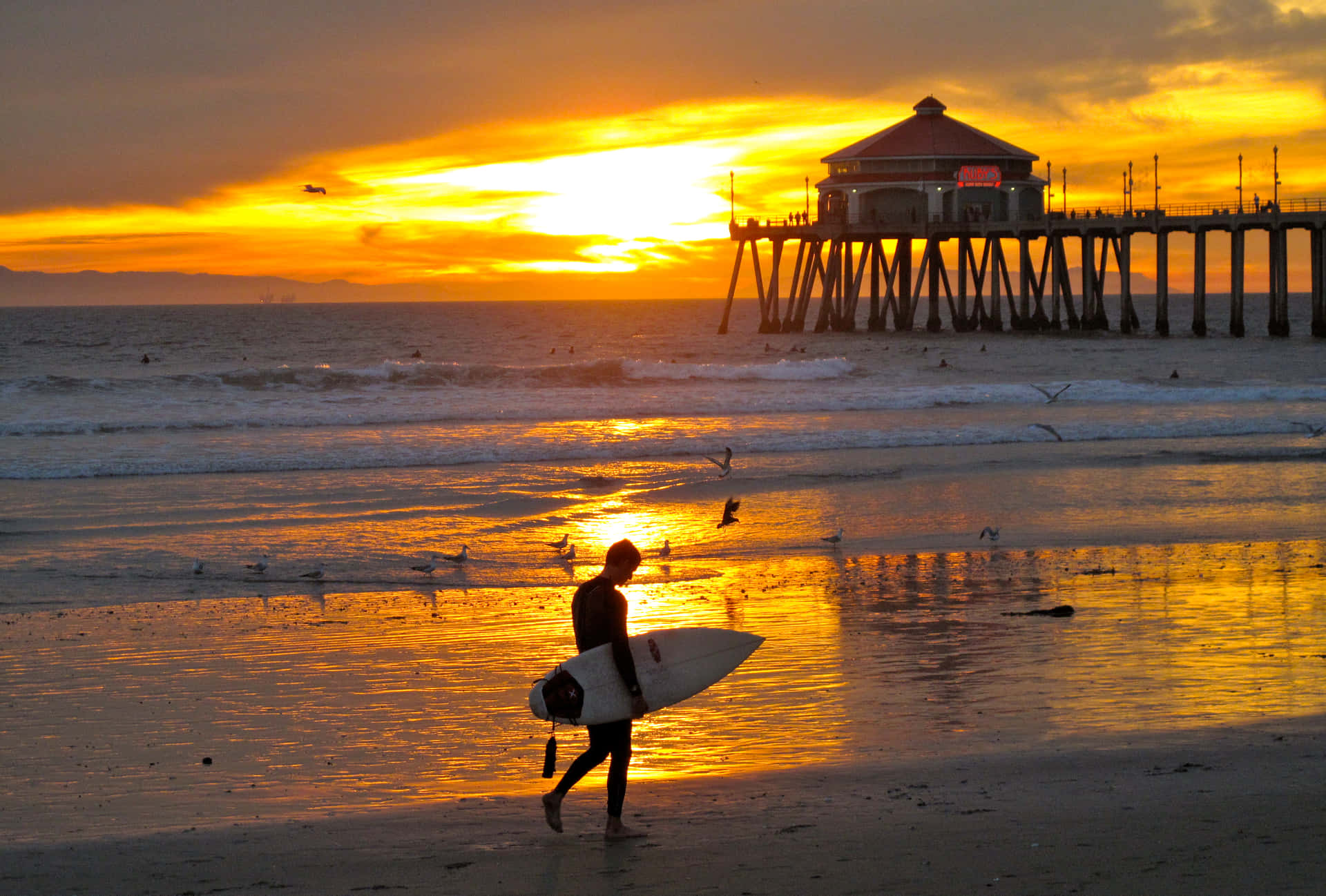 Enjoy The Warm Breeze Of Southern California Background