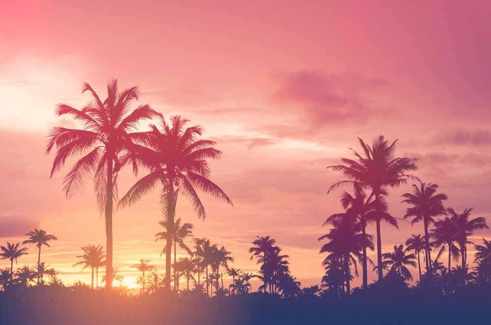 Enjoy The Warm Colors Of Summer With This Beautiful Pink Landscape Background