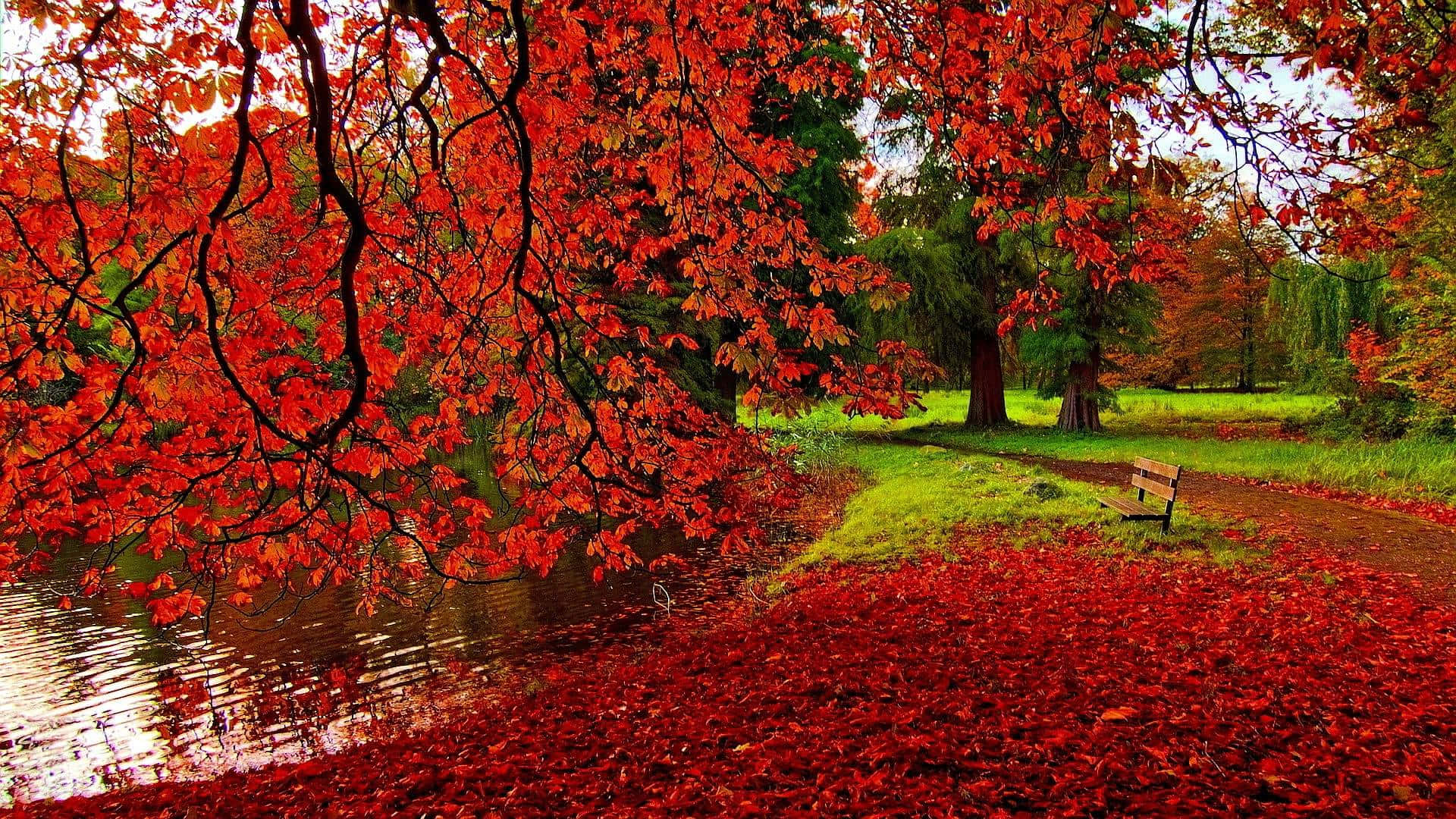 Enjoy The Warm Comfort Of Fall With This Cozy Desktop Wallpaper. Background