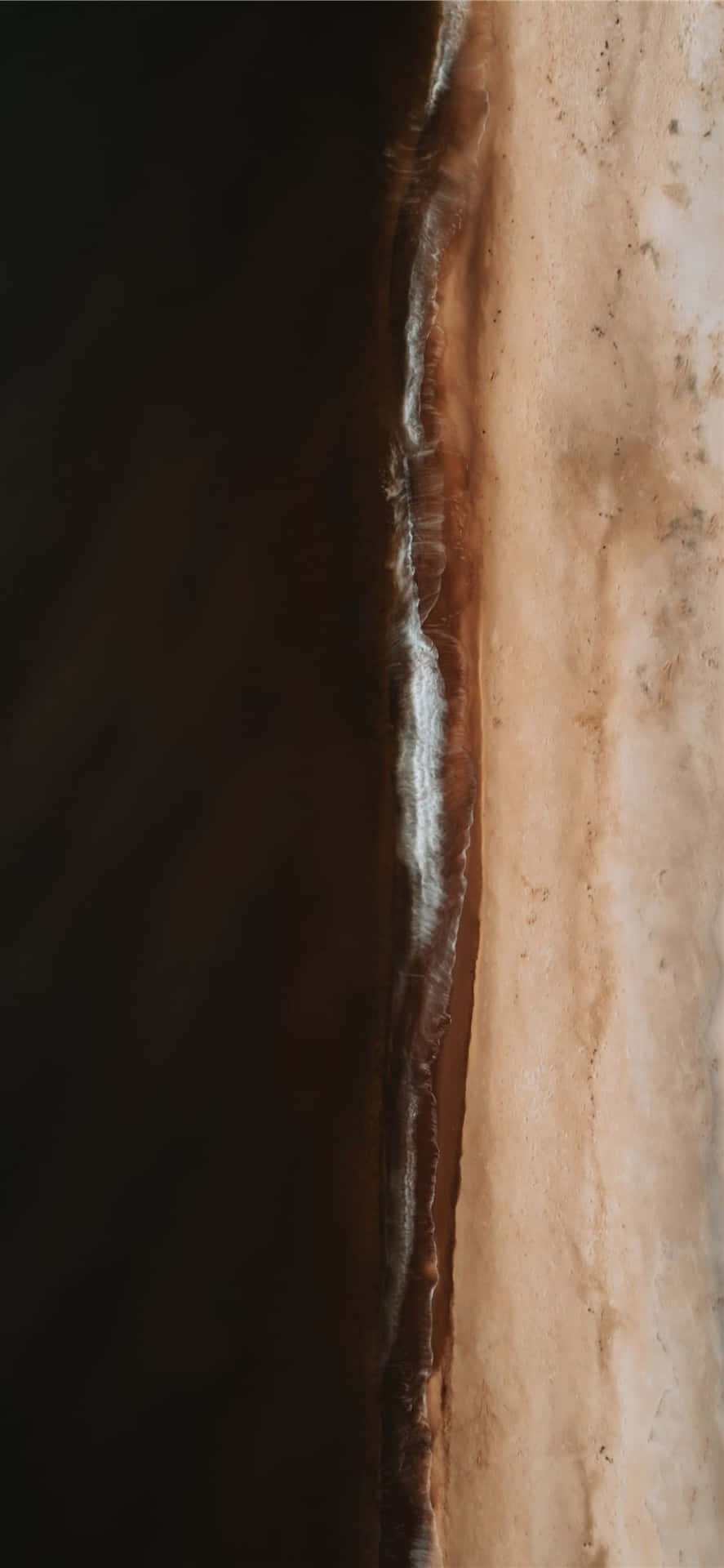 Enjoy The Warmth Of Brown And White Contrasted Wallpaper To Suit Your Home Décor Background