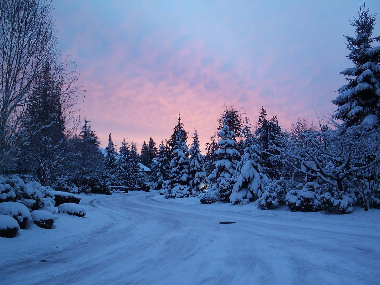 Enjoy The Winter Wonderland Background