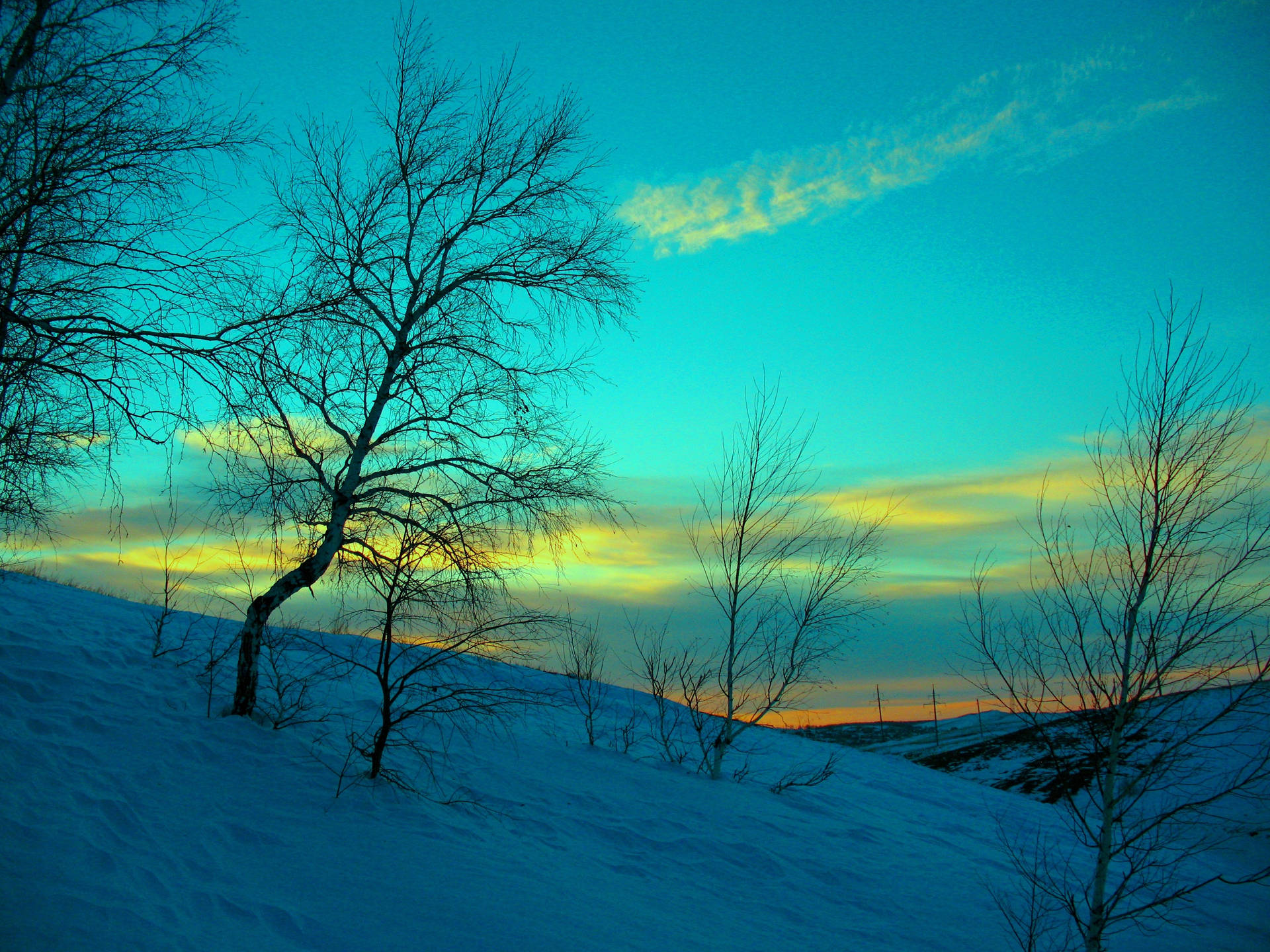 Enjoy The Winter Wonderland Background