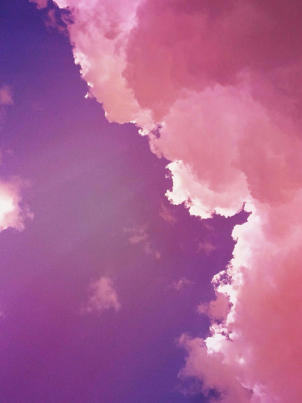 Enjoy The Wonders Of Nature With This Beautiful Field Of Pink And Purple Wildflowers!