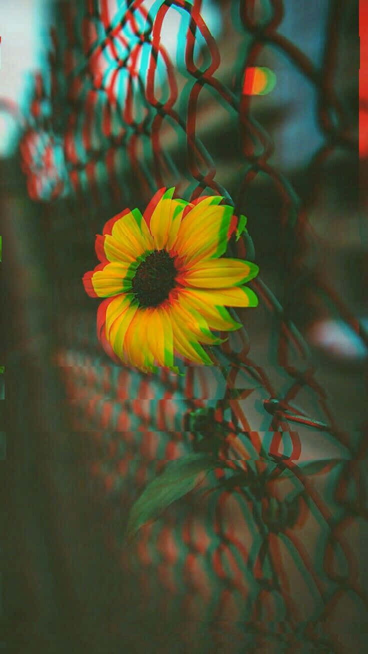 Enjoy This Summer's Cutest Glitch! Background