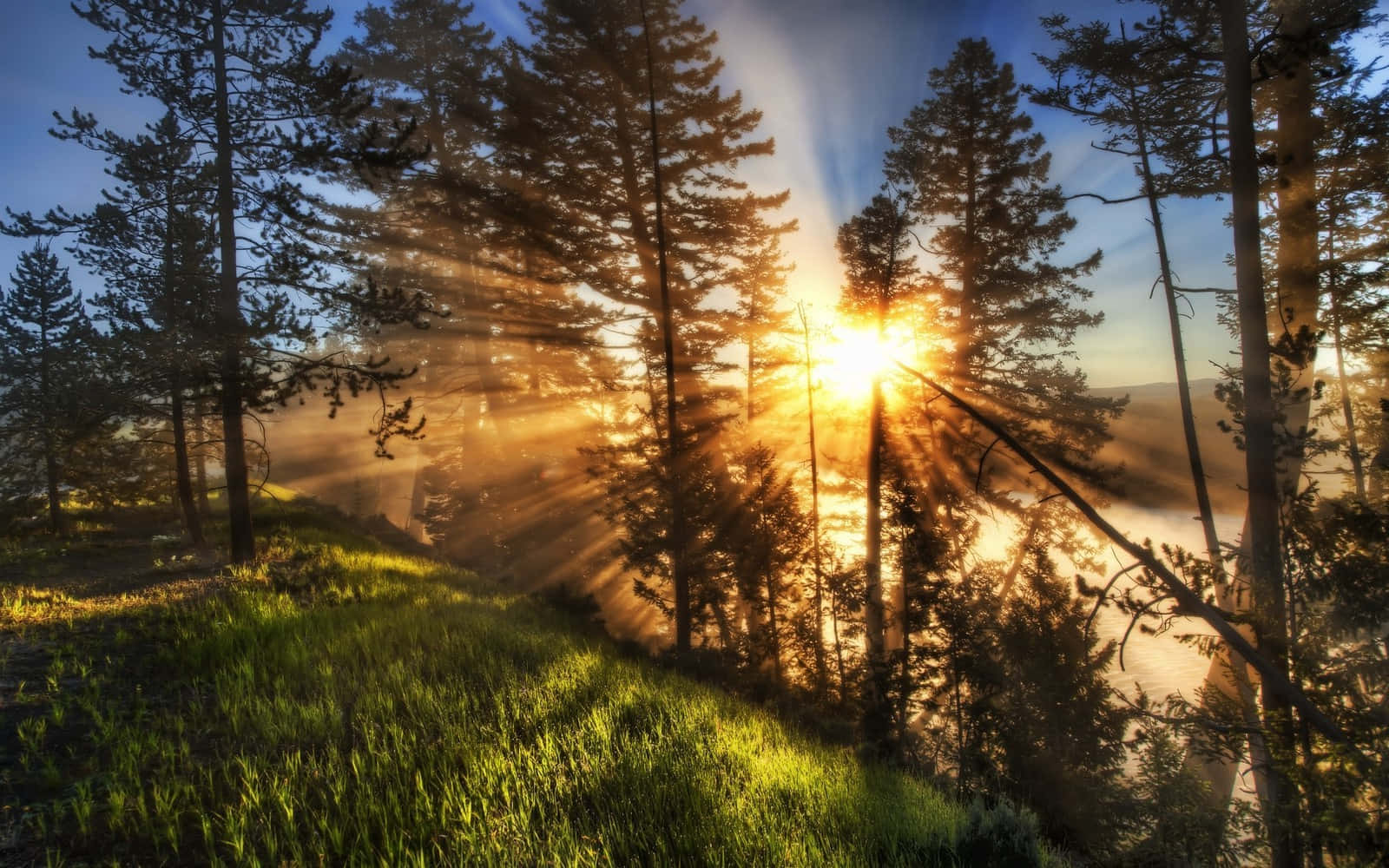 Enjoy Vibrant Scenery In Yellowstone National Park Background