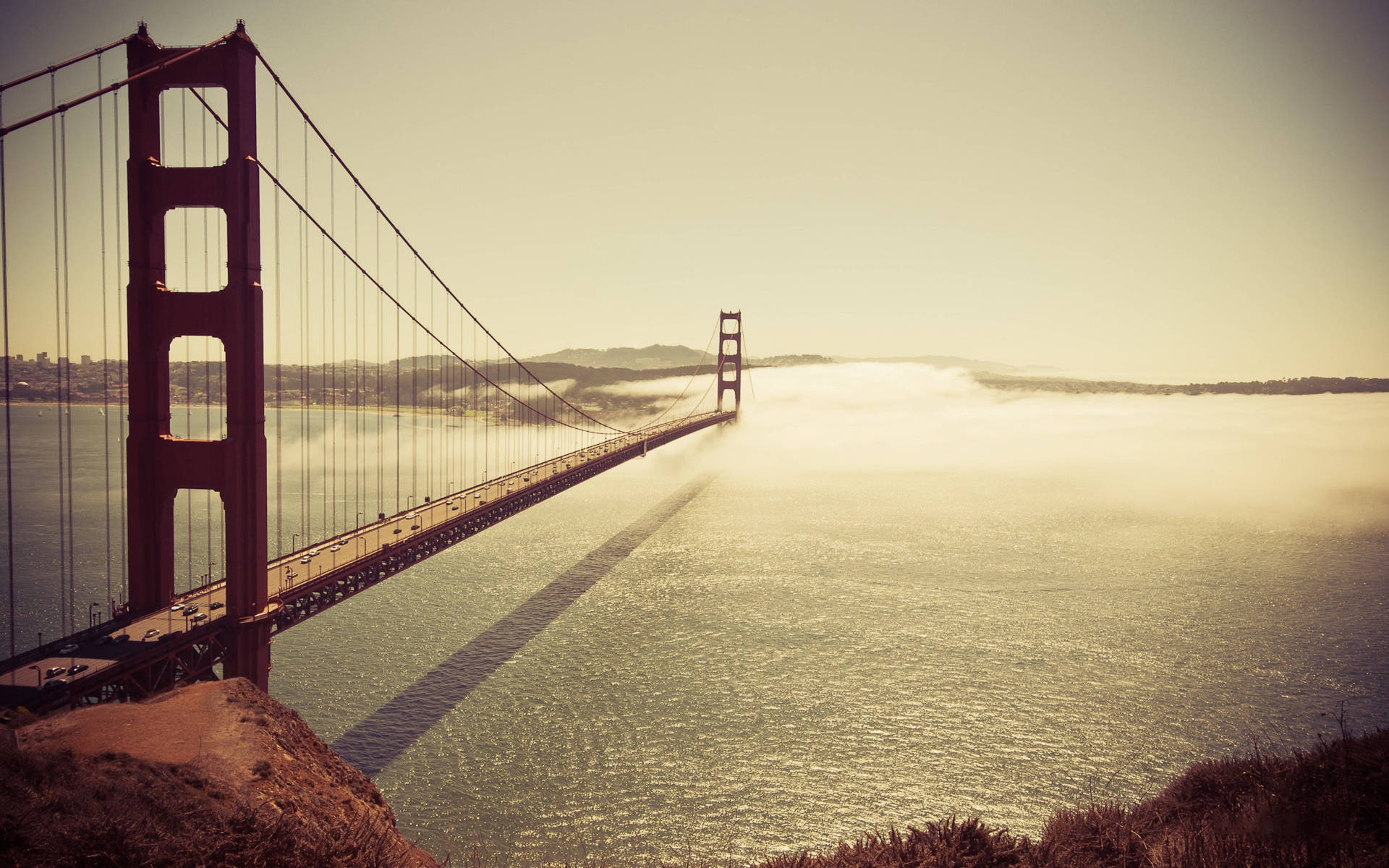 Enjoy Views Of The Bustling City Of San Francisco Background