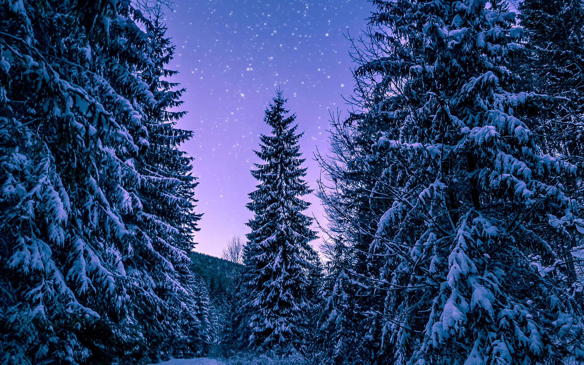 Enjoy Winter In Its Beautiful And Snowy Glory Background