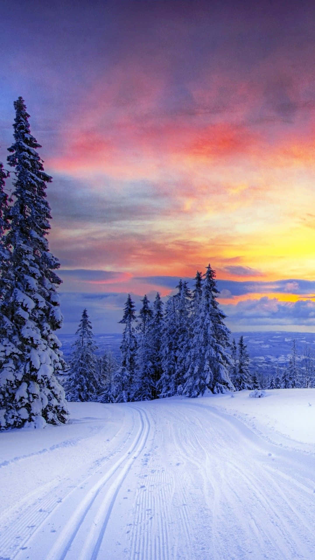 Enjoy Winter With A Brand New Iphone 6 Plus Background