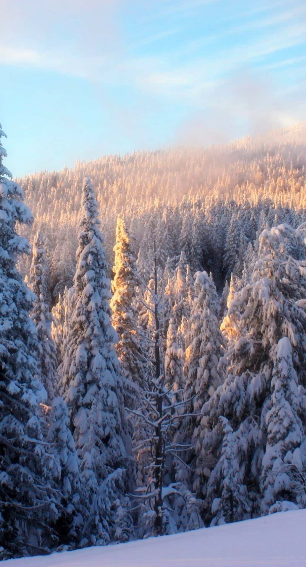 Enjoy Winter With The Iphone 6 Plus