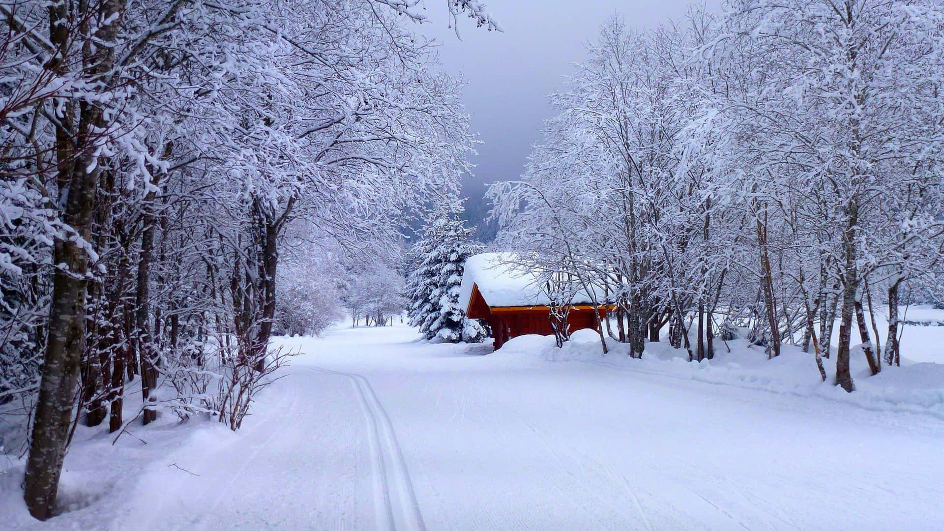 Enjoy Working On Your Laptop During The Winter Background