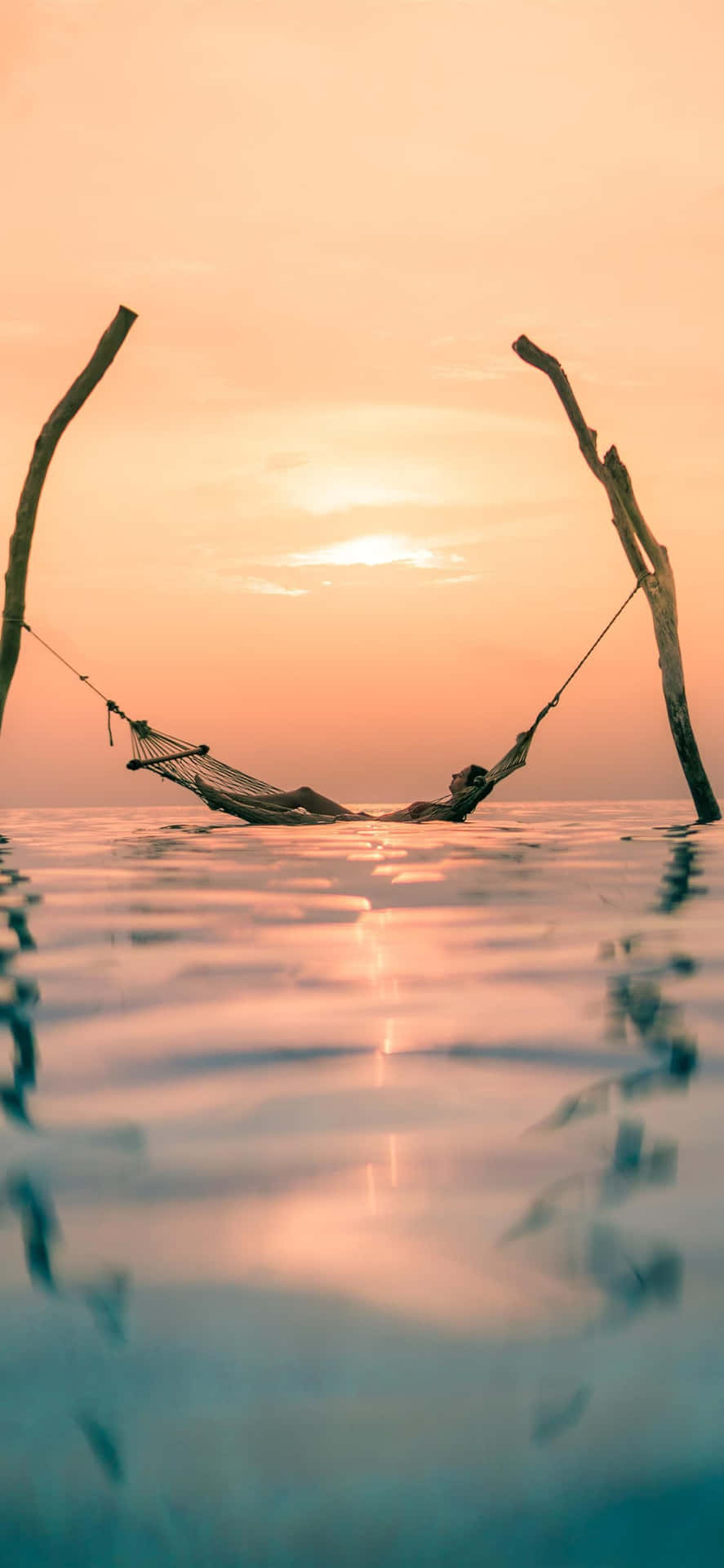 Enjoy Your Everyday Iphones Background