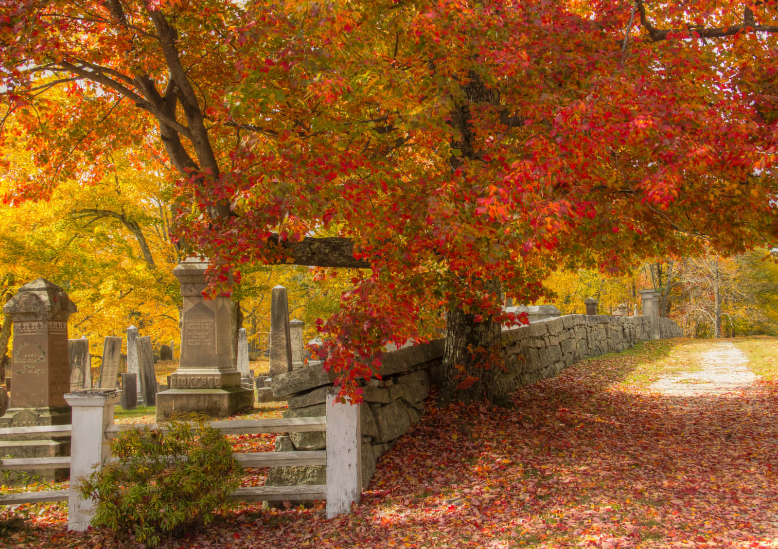 Enjoying A Beautiful New England Autumn Background