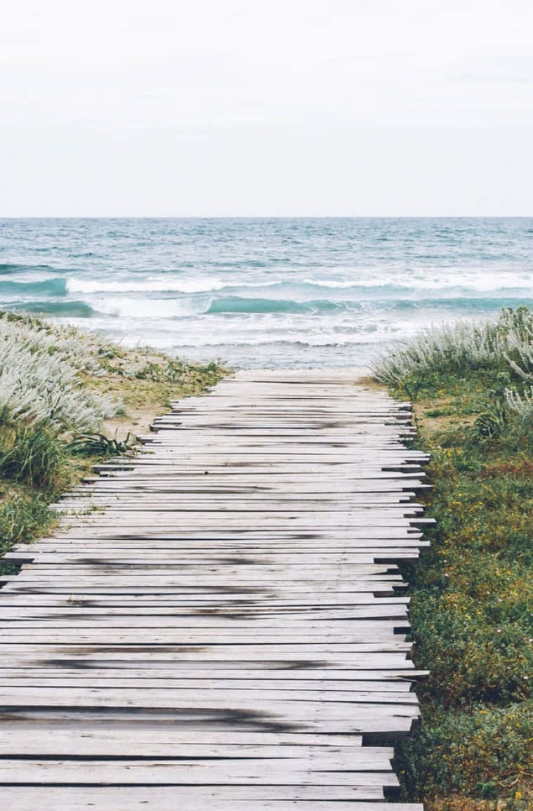 Enjoying A Beautiful Summer Beach Day With Your Iphone