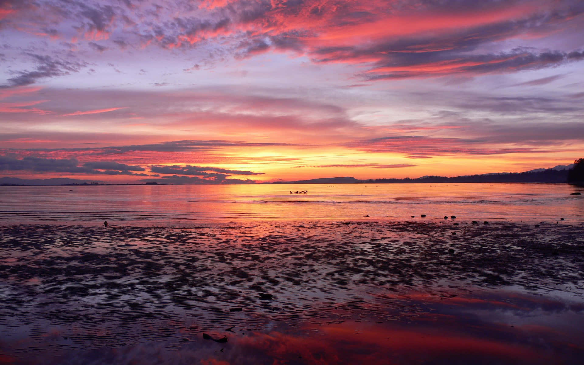 Enjoying A Beautiful Sunrise From The Comfort Of Your Desktop Background