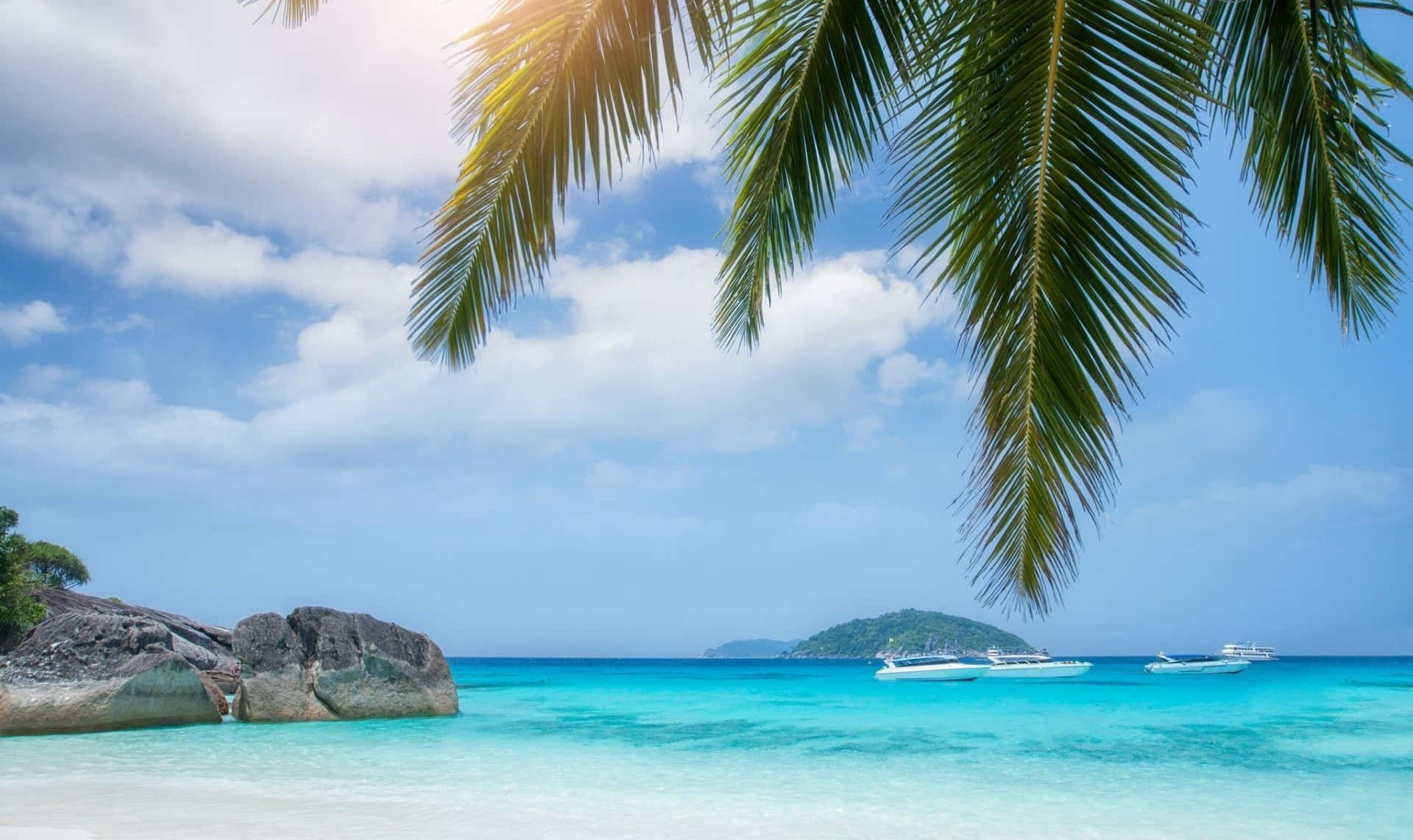 Enjoying A Blissful Tropical Paradise On A Beautiful Palm Tree Beach Background