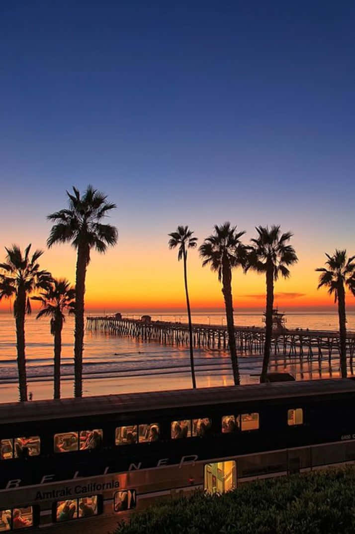 Enjoying A Bright And Sunny Day In California