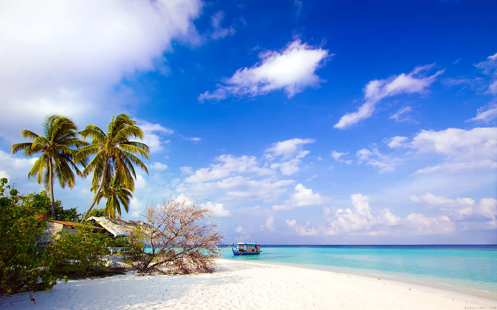 Enjoying A Day Of Relaxation At Pretty Beach Background