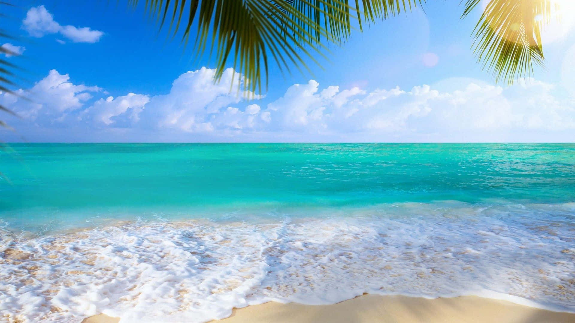 Enjoying A Glorious Summer Day Background