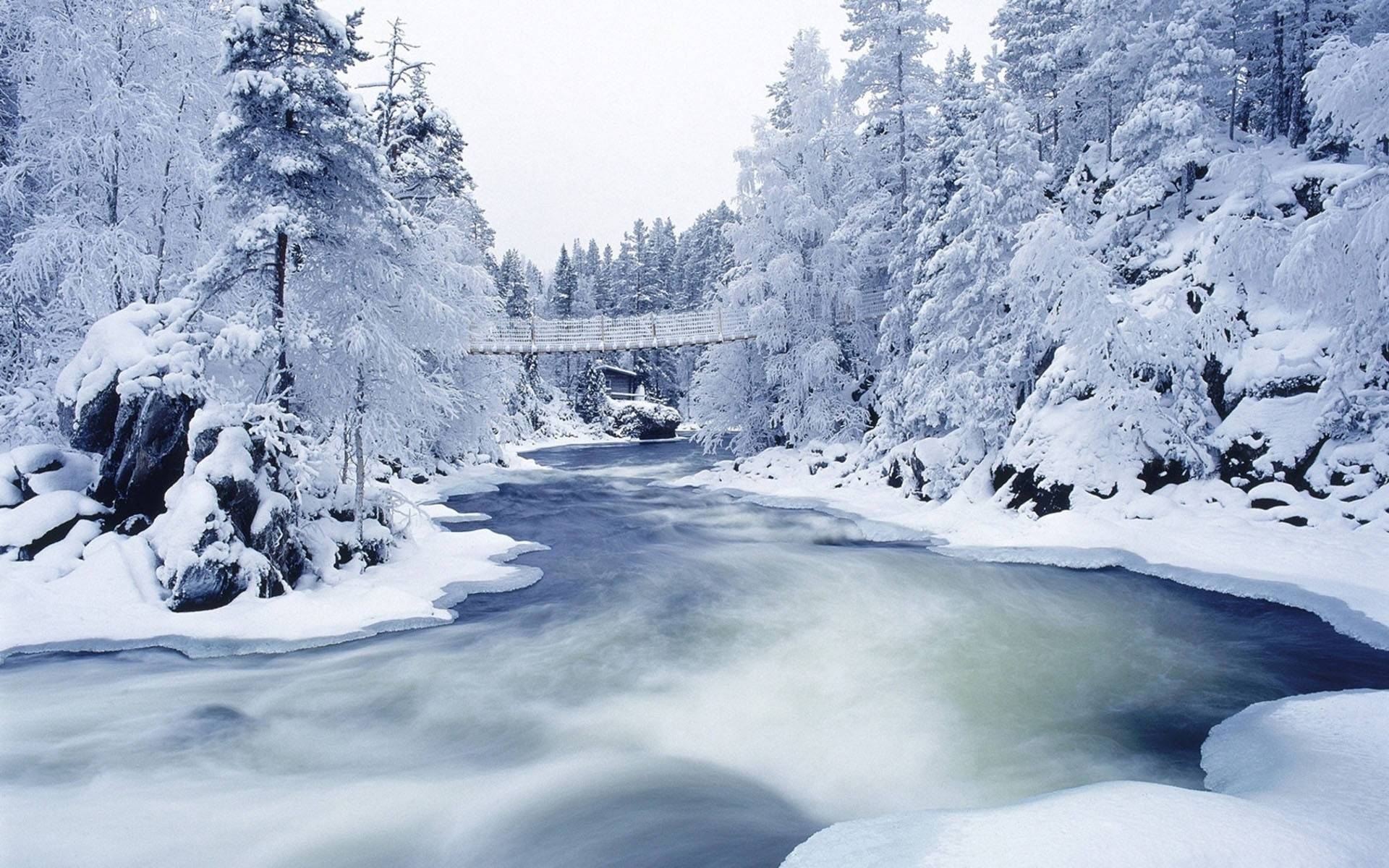 Enjoying A Picturesque Christmas On A Snowy Winter's Day Background