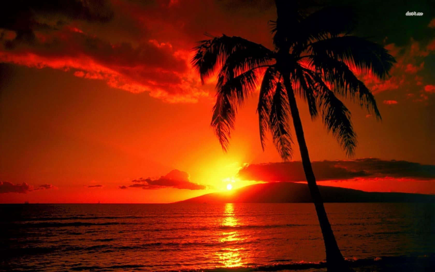 Enjoying A Picturesque Sunset In Hawaii