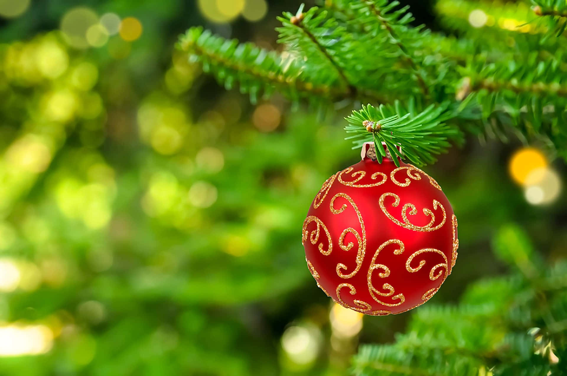 Enjoying A Red And Green Christmas Background