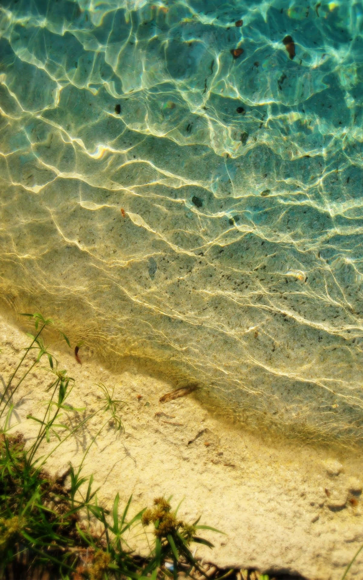 Enjoying A Relaxing Afternoon At The Beach Background
