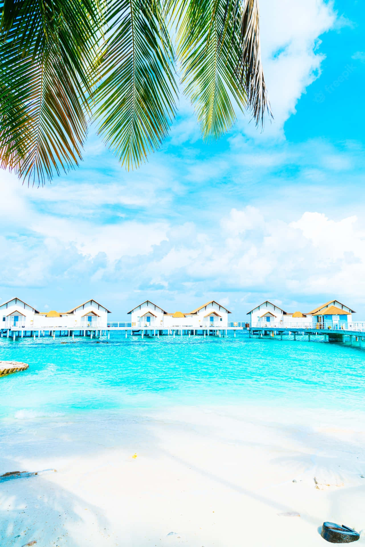 Enjoying A Serene Day By The Clear Waters Of Pretty Beach. Background