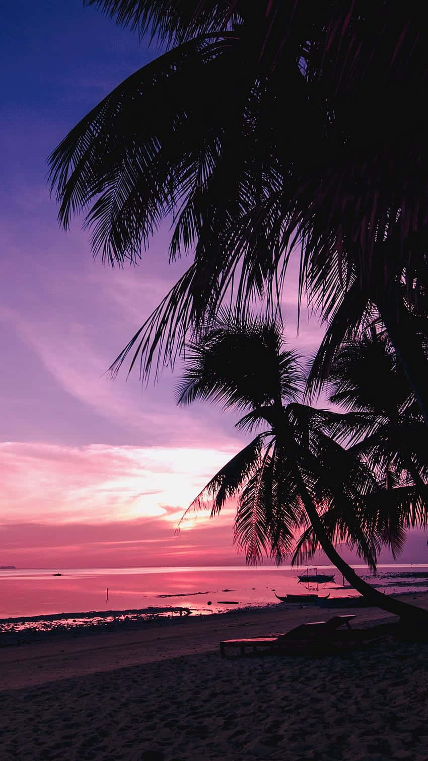 Enjoying A Spectacular Sunset On The Beach Surrounded By The Beauty Of The Pink Skies. Background